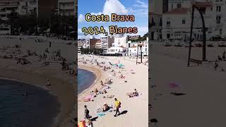 BLANES BEACH 🏖️ spain españa relaxing platja vacation satisfying shorts [upl. by Bondy]