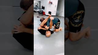 Armbar Transitions bjj jiujitsu grappling ufc mma jujutsu jujutsukaisen martialarts bjjlife [upl. by Madelina]