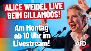 Alice Weidel LIVE beim politischen Gillamoos [upl. by Varden965]