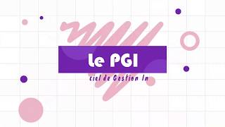 👨‍💻 💡Questce quun PGI [upl. by Keating]