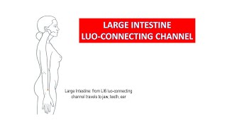 LARGE INTESTINE LUOCONNECTING VESSEL SYSTEM [upl. by Maillliw]