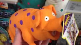 Wal Mart Squeaky Pig Toy 1 [upl. by Yekcaj787]