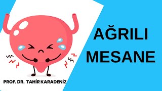 Ağrılı Mesane Hakkında I Prof Dr Tahir Karadeniz [upl. by Sewel]