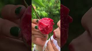 fruit naturallifeb satisfying naturalclips fruitcutting naturelife food oddlysatisfying [upl. by Mata]