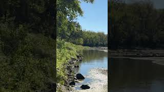 Osprey splashes down right in front of me [upl. by Harpole]