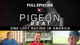 Pigeon Beat FULL Episode One Loft Racing in America [upl. by Skelly]