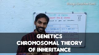 Chromosomal theory of inheritance  Genetics  Bilingual  Tamil  Senthilnathan [upl. by Armin24]