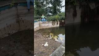 we cleaned our abandoned pool [upl. by Naesad]