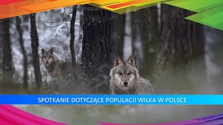 Populacja Wilka w Polsce [upl. by Oleusnoc]