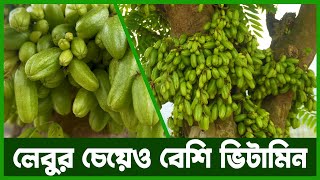 বিলিম্বি শুধুমাত্র টক প্রেমীদের জন্য  Agro News Bangla [upl. by Santoro]