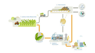 Sugar cane  A source of renewable energy [upl. by Wasson560]