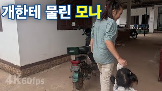 라오스 모나와 병원 가기  버섯과 닭튀김 요리  씨엥쿠앙 몽족마을 4k 60fps라오스 시골 선생님 ep 168 [upl. by Walther201]