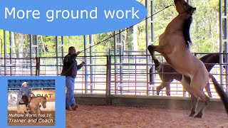 Ground work with a pushy dominant horse [upl. by Lekim]