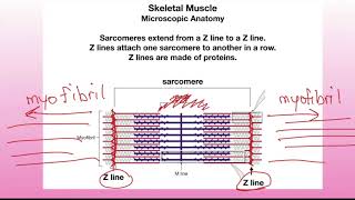 Lecture 9 part 2 [upl. by Panayiotis]