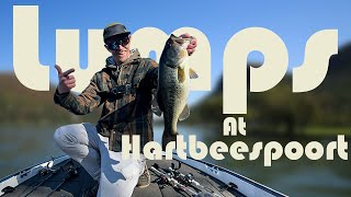 Fishing The Forgotten Dam For Giant Largemouth Bass  Hartbeespoort Dam [upl. by Bechler]