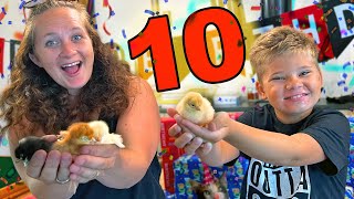 Ollie Turns 10 Years Old 🎉 BIRTHDAY CHICKEN SURPRISE [upl. by Emmerich]