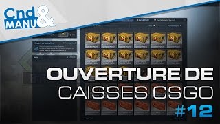 Ouverture Caisses CSGO 12  Nouvelle Opération nouvelle ouverture [upl. by Isak]