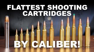 Flattest Shooting Cartridges by Caliber [upl. by Ssilem93]