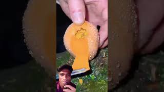 fruit satisfying naturallifeb fruitcutting naturalclips food naturelife garden carving [upl. by Eelyek]