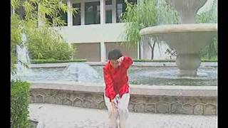 Nei Yang Gong Qigong Exercises 1 to 12 [upl. by Siulegroj33]