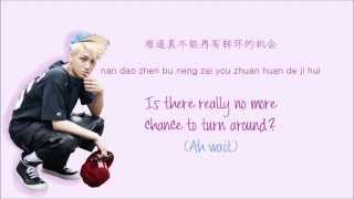 EXO  Growl 咆哮 Chinese Version Color Coded ChinesePinYinEng Lyrics [upl. by Fernas437]