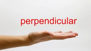 How to Pronounce perpendicular  American English [upl. by Annovad]