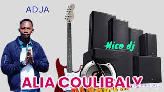 NICO DJ ALIA COULIBALY ADJA FASSA 2024 [upl. by Barvick]