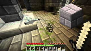 Minecraft Mobs Silverfish [upl. by Okikuy328]