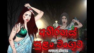 අභිරහස් සුළං වංගුව Abirahas sulan wanguwa stories sinhala dubbed cartoon sinhala holman katha [upl. by Morton]