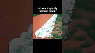 100 साल से भूखा भेड़ जब खाना खाता है 😂। Funny cartoon funny explanation memes [upl. by Aunson]