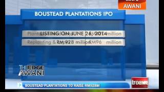 Boustead Plantations to raise RM928 million [upl. by Secrest]