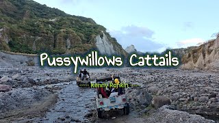 PUSSYWILLOWS CATTAILS  Karaoke Version  in the style of Kenny Rankin [upl. by Holub]