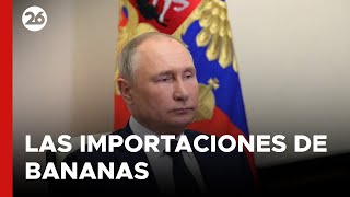 Llegó el castigo de Putin a Ecuador por quotapoyar a Ucraniaquot [upl. by Atterual]