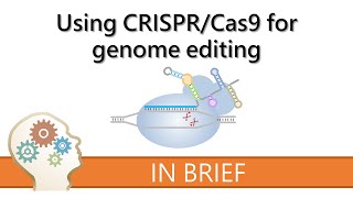 How CRISPR lets you edit DNA  Andrea M Henle [upl. by Paten]