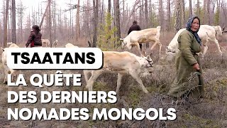 Tsaatans  la quête des derniers nomades mongols [upl. by Carmel]