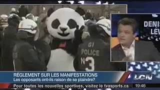 Denis Lévesque  Règlement P6 sur les manifestations [upl. by Kelson733]