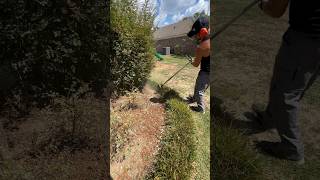 String Trimmer Lawn Edging Liriope shorts grasscutting lawncarelife entertainment yardcleanup [upl. by Lorilyn]