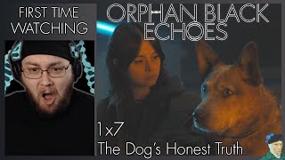 Orphan Black Echoes 1x7 REACTION  quotThe Dogs Honest Truthquot First Time Watching [upl. by Oremodlab]