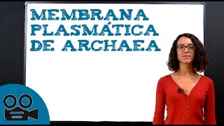 Membrana plasmática de archaea [upl. by Ynned]