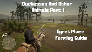 RDR2  Duchesses And Other Animals Part 1  Egret Plume Guide [upl. by Adnawat]