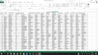 Create a Codebook in SPSS from a PDF File [upl. by Eirbua]