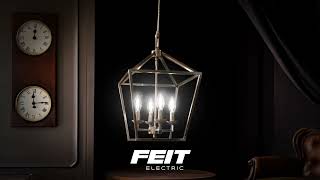 Feit Electric White Filament Decorative Bulbs [upl. by Liagaba]