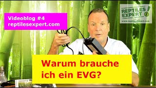 Warum brauche ich ein EVG elektronisches Vorschaltgerät für UVB Lampen im Terrarium [upl. by Otreblaug]