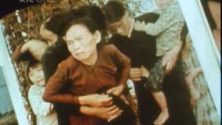 My Lai Massacre Vietnam 1968 [upl. by Nowujalo]