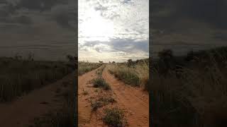 Kgalagadi Leeudril 4x4 Trail Timewarp kgalagadi mototouring [upl. by Shakespeare]