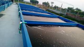 Biofloc fish farming in Bangladesh [upl. by Atteroc]