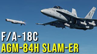 Tutorial AGM84H quotSLAMERquot del FA18C en DCS World [upl. by Munford]