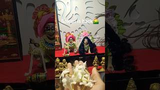 Sawan ka mahina pawan kare shorladdu gopal shringarradhakrishna [upl. by Mitchel]