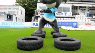 Sussex TV  Sid the Shark limbers up for the Mascot Race [upl. by Gillmore]