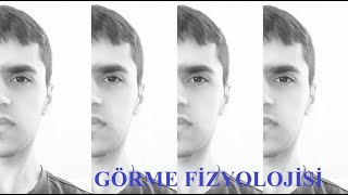 Görme Fizyolojisi [upl. by Kcaj]